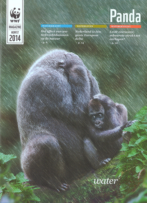 Willem-Teunissen_Panda